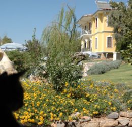 Fethiye Ardıç evleri